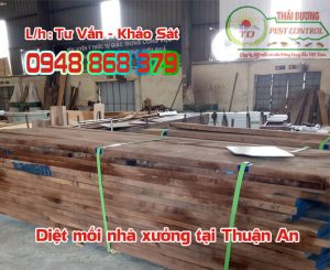 Dịch vụ diệt mối - Công Ty TNHH Diệt Mối Và Côn Trùng Thái Dương